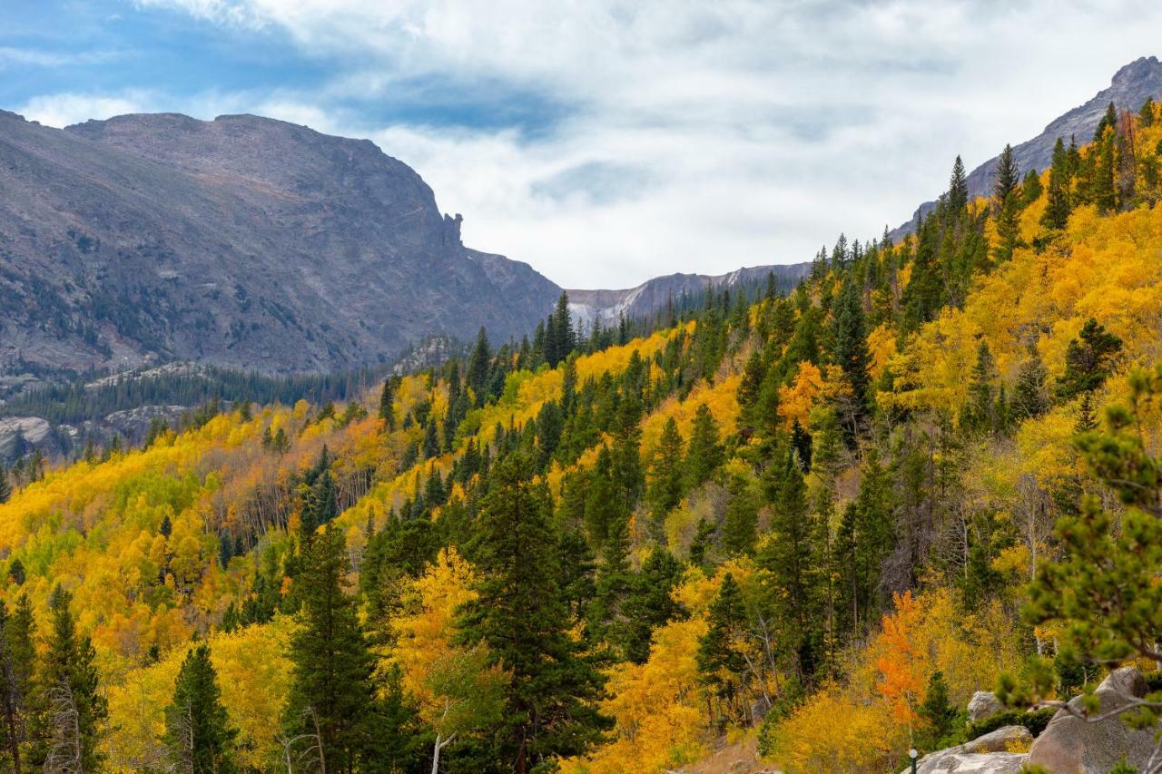 Apartamento Quiet In The Pines - Permit #3120 Estes Park Exterior foto